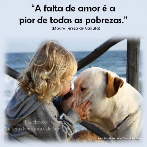 A falta de amor é a pior de todas as pobrezas. - FrasesTop