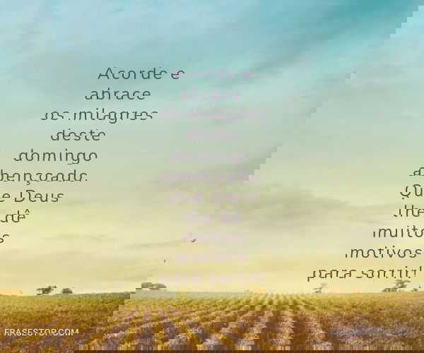 Acorde e abrace os...