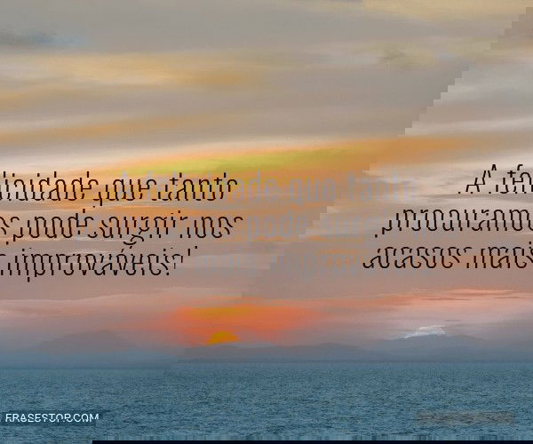 A felicidade que tanto...