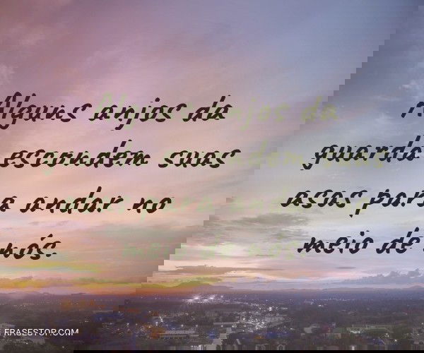 Alguns anjos da guarda...