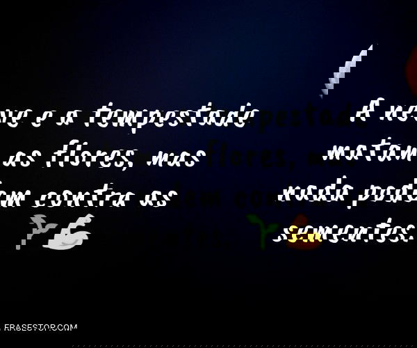 A neve e a tempestade...