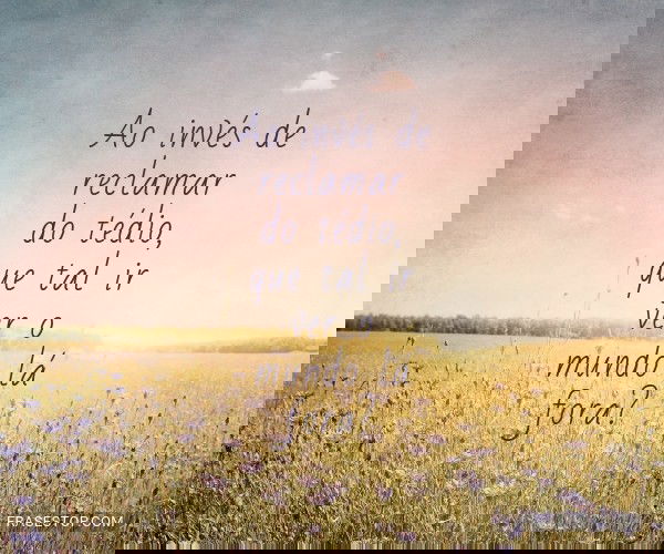 Ao invés de reclamar do...