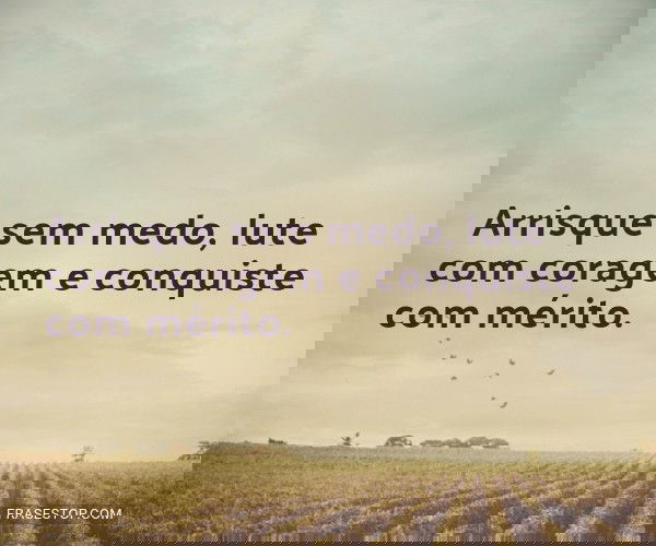 Arrisque sem medo, lute...