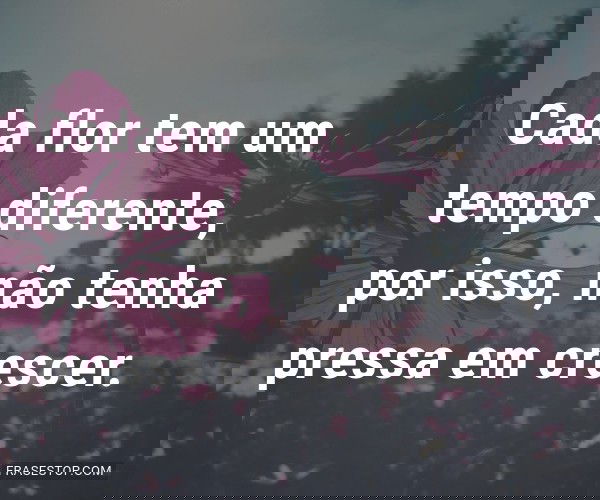 Cada flor tem um tempo...