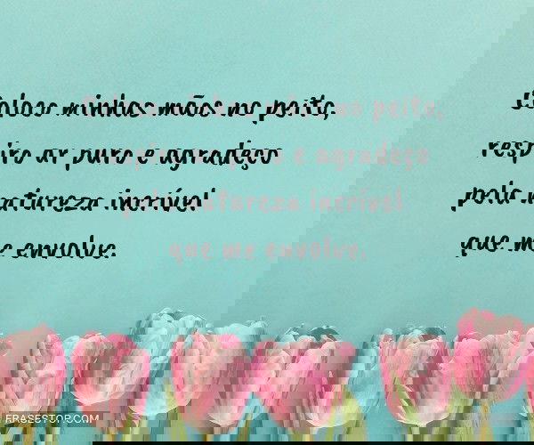 Coloco minhas mãos no...