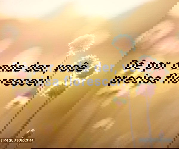 Dê por onde der, você...