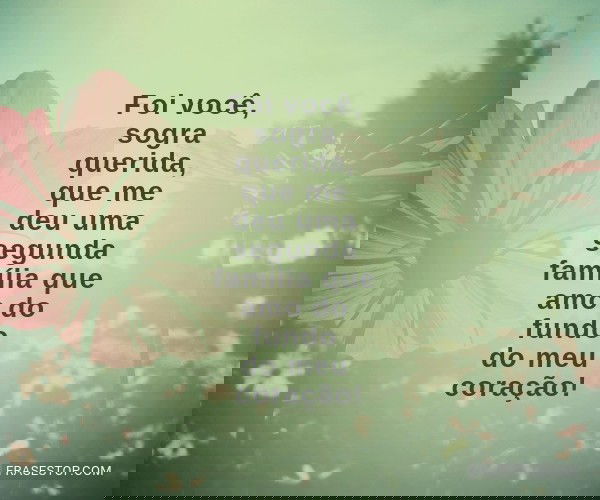 Foi você, sogra querida,...