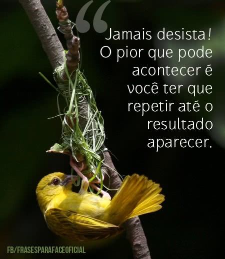 Jamais desista! O pior...