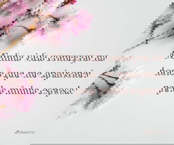 Minha vida começou na...