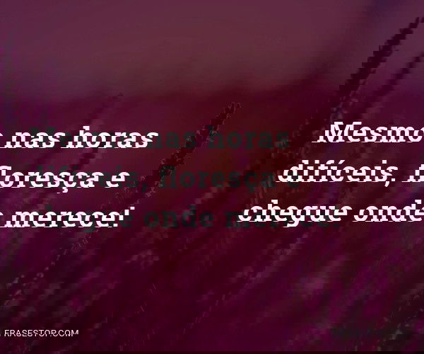 Mesmo nas horas...