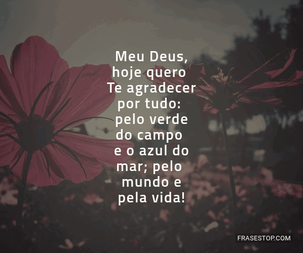 Meu Deus Hoje Quero Te Agradecer Por Tudo Pelo Frasestop