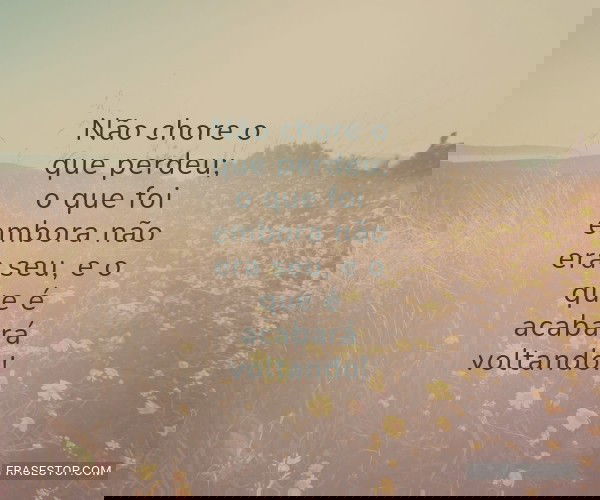 Não chore o que perdeu;...