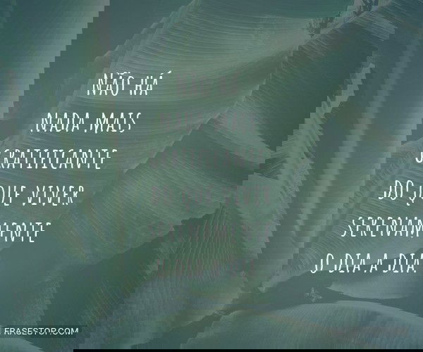 Não há nada mais...