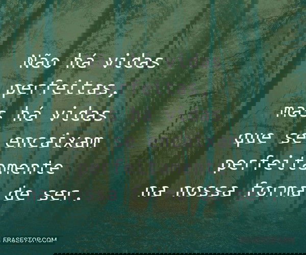 Não há vidas perfeitas,...