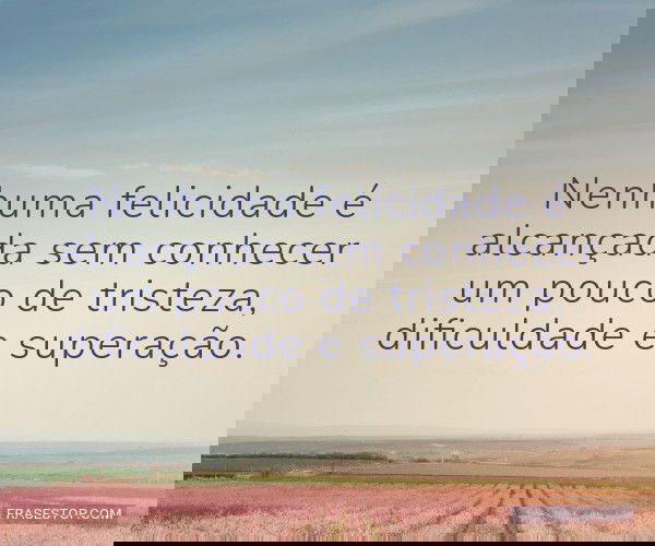 Nenhuma felicidade é...