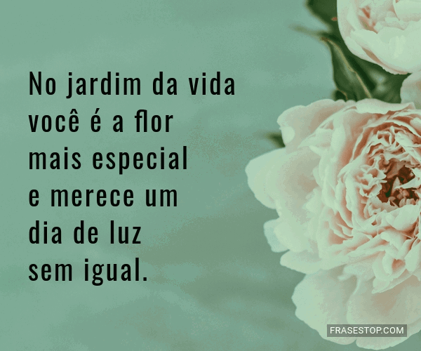 No jardim da vida você é a flor mais especial e... - FrasesTop No jardim da vida você é a flor mais especial e... - FrasesTop