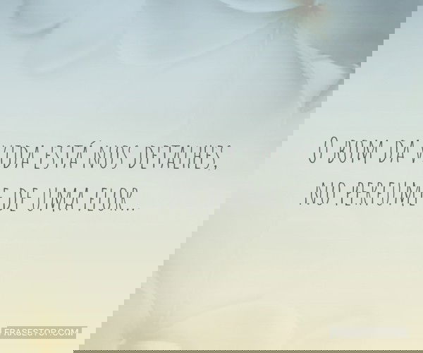 O bom da vida está nos...