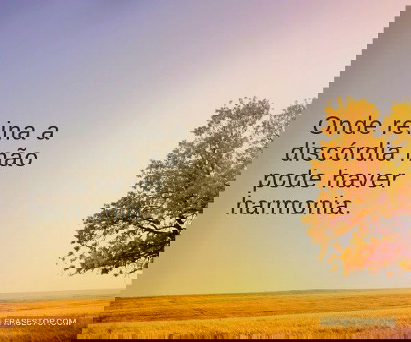 Onde reina a discórdia...