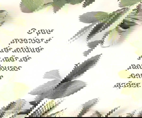 O que preciso é de...