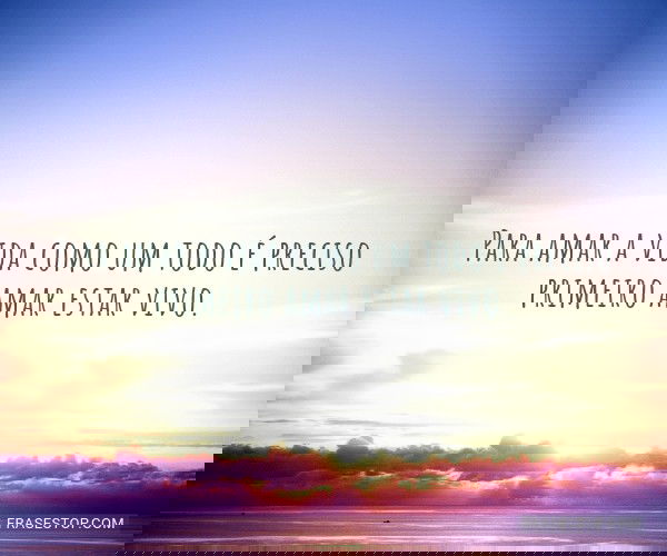 Para amar a vida como um...