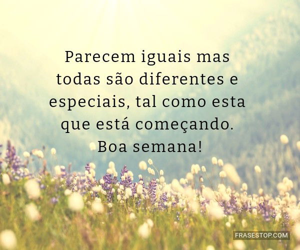 Parecem iguais mas todas...