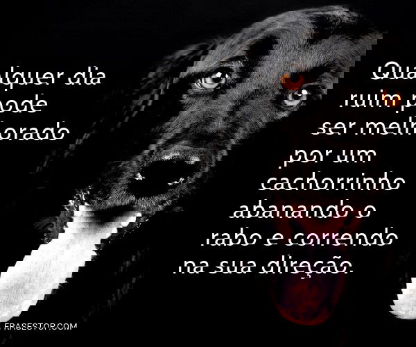 Qualquer dia ruim pode...