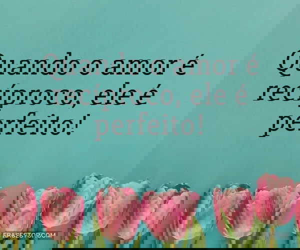 Quando o amor é...