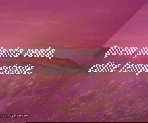 Quem planta vento, colhe...
