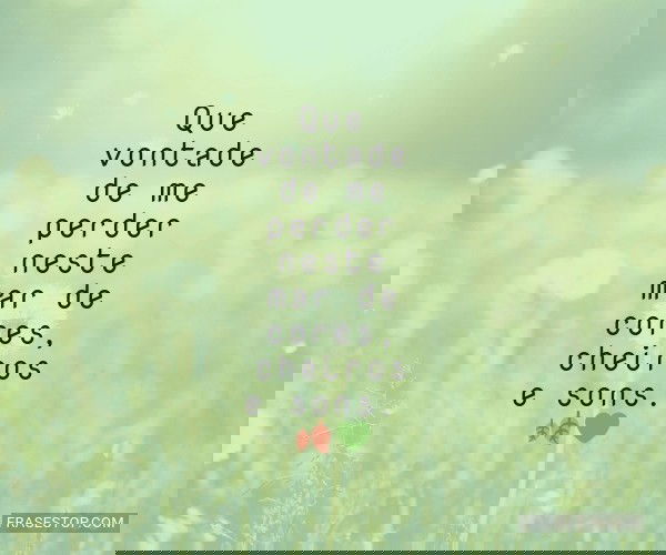 Que vontade de me perder...