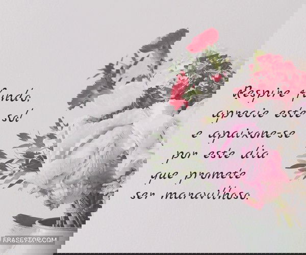 Respire fundo, aprecie...