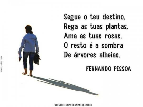 Frases de Fernando Pessoa - FrasesTop