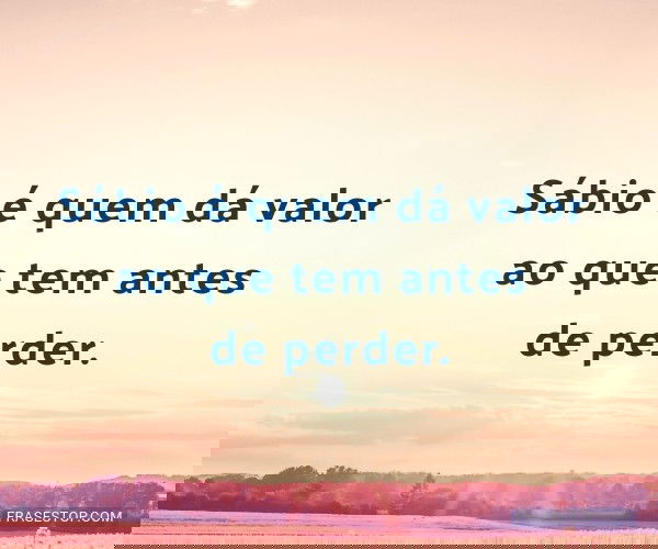 Sábio é quem dá valor...