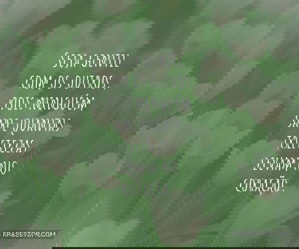 Seja gentil com os...