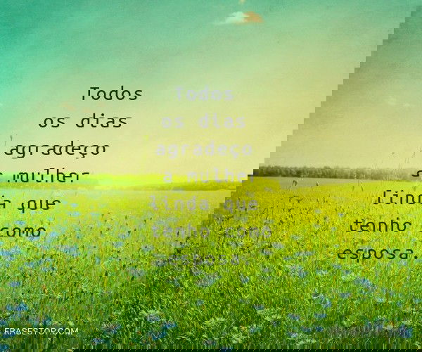 Todos os dias agradeço a...