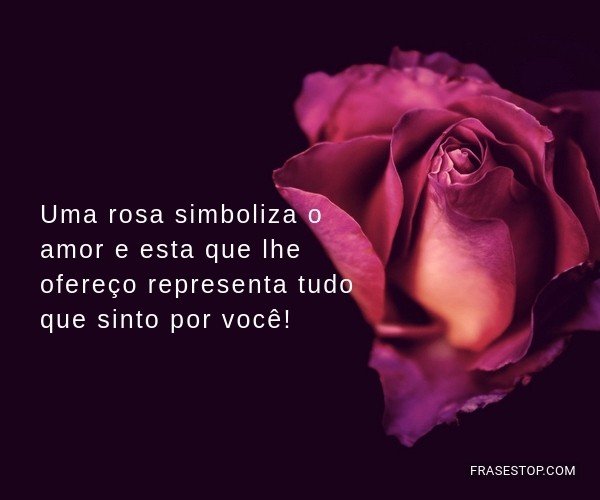 Uma rosa simboliza o amor...