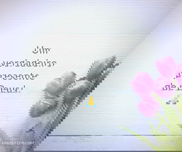 Um verdadeiro presente de...